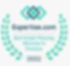 Award badge.JPG